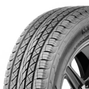 Läs mer om Antares Majoris R1 225/55R19 99V