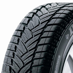 Dunlop SP WinterSport M3 205/45R16 83H  Dubbfritt